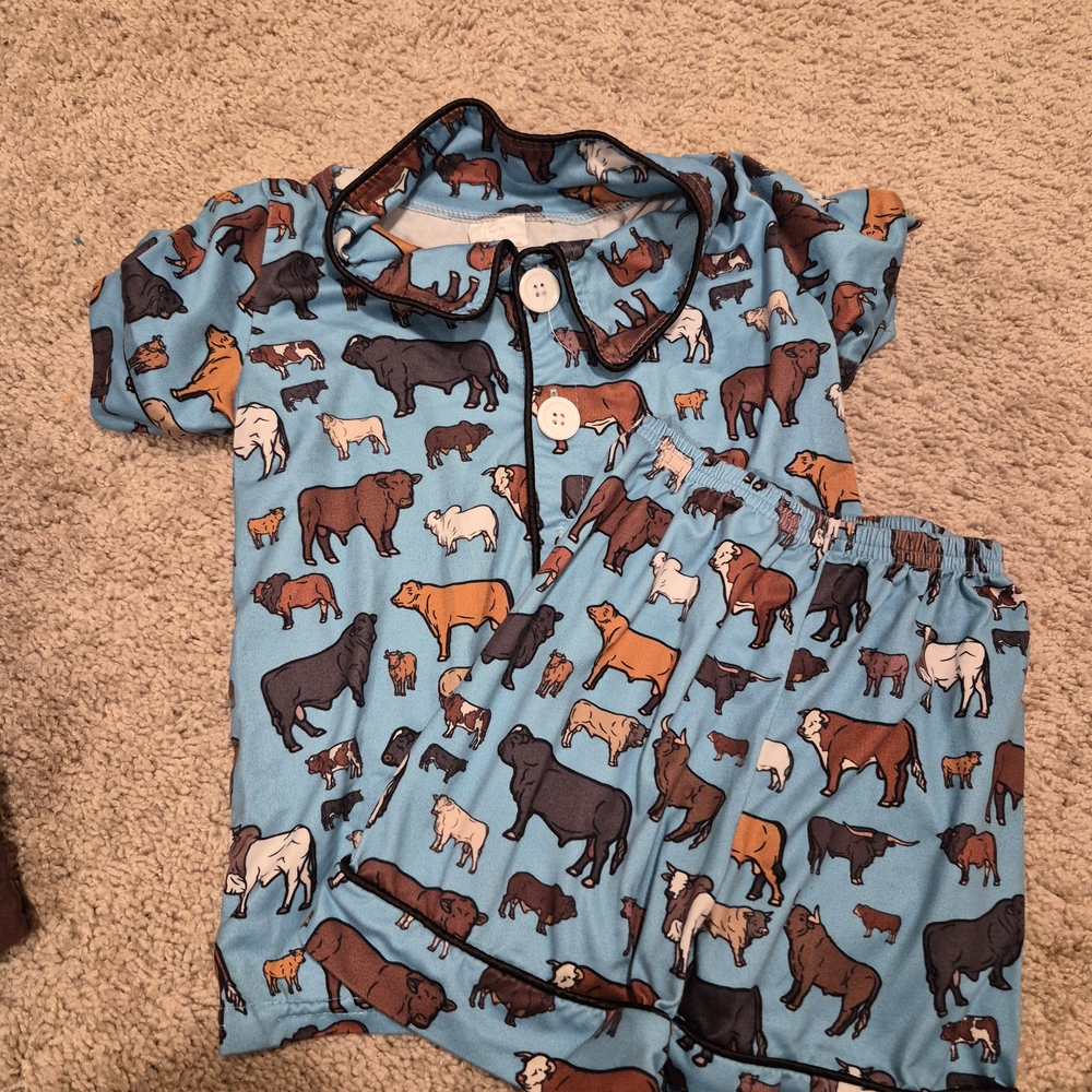 Kids Animal Print Pajama Set - Blue